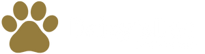 Daisy's Dad Dog Services